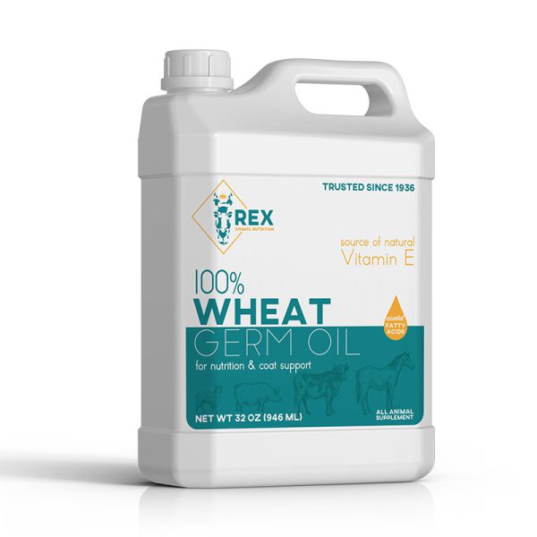Wheat